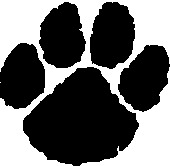 Tiger Paw Image Tiger Paw Image